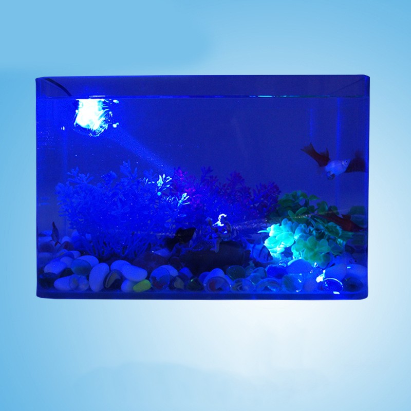 Blue Light